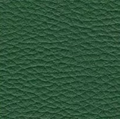 Ледерин зелёный (шир. 82 см)